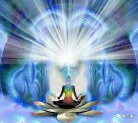 (各种动物之王)王之秘：揭秘七大神秘动物力量及其奇妙效果