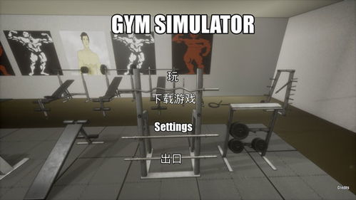 健身房模拟器中文版安卓下载-健身房模拟器中文版(玩家自制)安卓手机版下载v.7.23
